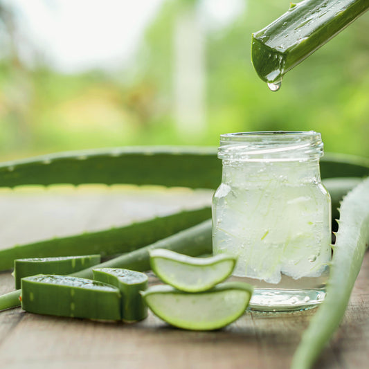 Aloe Vera Fragrance Oil Scented Oils For Body, Soap Making, Candle Making, Lotion, Perfume, Diffuser