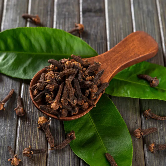 Clove Bud Fragrance Oil Scented Oils For Body Soap Making Candle Making Lotion Perfume Diffuser