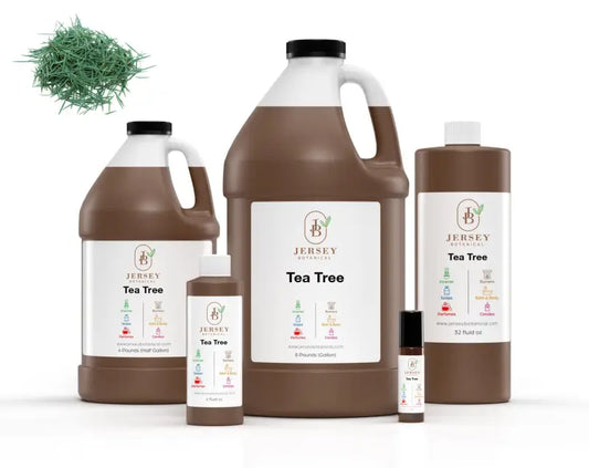 Tea Tree Fragrance Oil Scented Oils For Body Soap Making Candle Making Lotion Perfume Diffuser BUY 4 GET 2 FREE