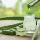 Aloe Vera Fragrance Oil Scented Oils For Body, Soap Making, Candle Making, Lotion, Perfume, Diffuser