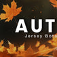 Autumn Set Premium Grade Fragrance Oils - Autumn Leaves Apple Cider Pumpkin Spice Harvest Spice Sweater Weather Brown