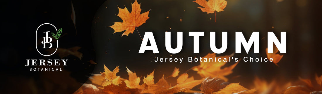 Autumn Set Premium Grade Fragrance Oils - Autumn Leaves, Apple Cider, Pumpkin Spice, Harvest Spice, Sweater Weather, Brown Sugar