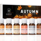 Autumn Set Premium Grade Fragrance Oils - Autumn Leaves Apple Cider Pumpkin Spice Harvest Spice Sweater Weather Brown