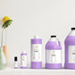 Bombsh!t Fragrance Oil Scented Oils For Body Soap Making Candle Making Lotion Perfume Diffuser