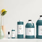 Christmas Tree Fragrance Oil Scented Oils For Body Soap Making Candle Making Lotion Perfume Diffuser BUY 4 GET 2 FREE