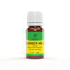 Cucumber Melon Blend Premium Grade Fragrance x10 Oil For Candles, Soaps, Freshies, Body Butters, Incense, Diffuser, Aromatherapy 10 ml.