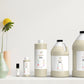 Desire (W) Fragrance Oil