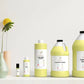 Lavender Vanilla Fragrance Oil Scented Oils For Body Soap Making Candle Making Lotion Perfume Diffuser BUY 4 GET 2 FREE