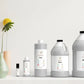 Pine Fragrance Oil Scented Oils For Body Soap Making Candle Making Lotion Perfume Diffuser BUY 4 GET 2 FREE